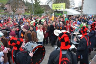 2018-1-29-NO-hps-Narrentreffen Umzug 4