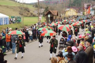 2018-1-29-NO-hv-Narrentreffen-Umzug-DSC_0124