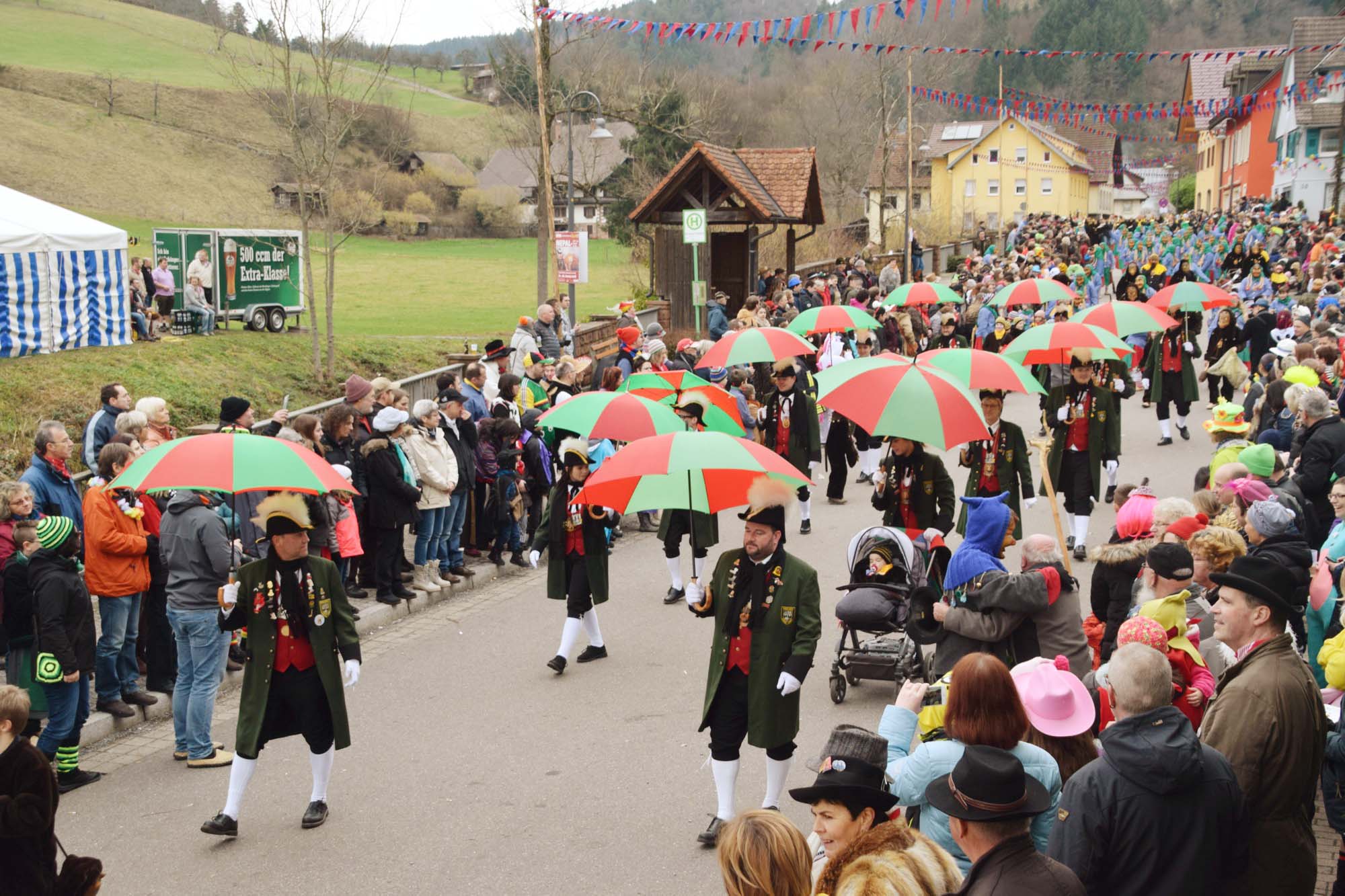 2018-1-29-NO-hv-Narrentreffen-Umzug-DSC_0124