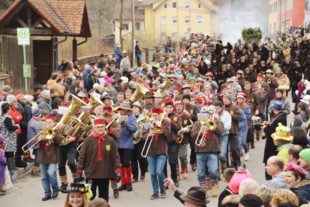 2018-1-29-NO-hv-Narrentreffen-Umzug-DSC_0137
