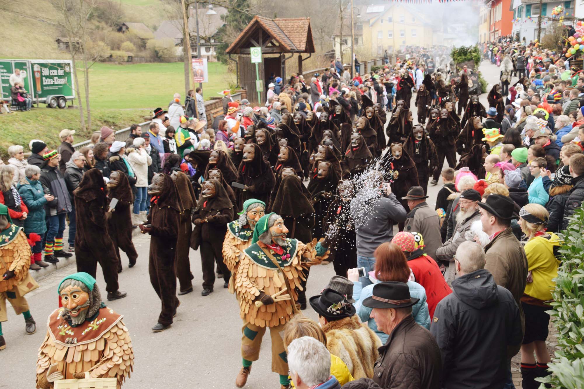 2018-1-29-NO-hv-Narrentreffen-Umzug-DSC_0139