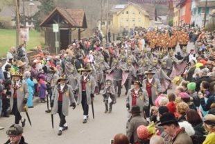 2018-1-29-NO-hv-Narrentreffen-Umzug-DSC_0145