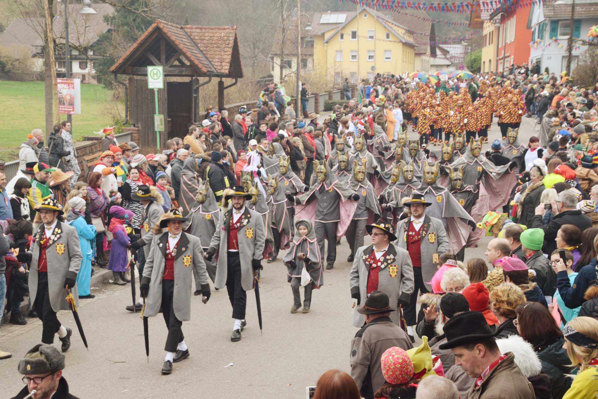 2018-1-29-NO-hv-Narrentreffen-Umzug-DSC_0145