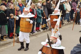 2018-1-29-NO-hv-Narrentreffen-Umzug-DSC_0152
