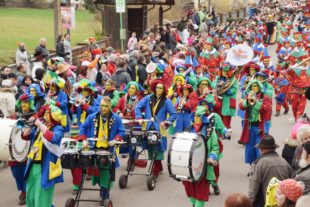 2018-1-29-NO-hv-Narrentreffen-Umzug-DSC_0156
