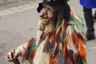 2018-1-29-NO-hv-Narrentreffen-Umzug-DSC_0176