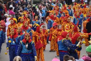 2018-1-29-NO-hv-Narrentreffen-Umzug-DSC_0193