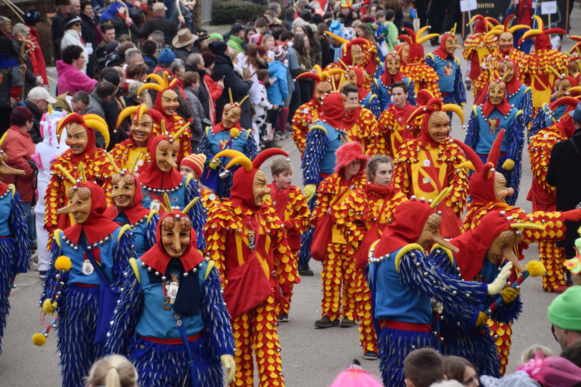 2018-1-29-NO-hv-Narrentreffen-Umzug-DSC_0193