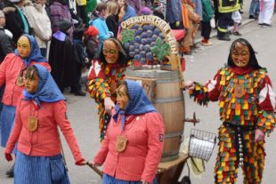 2018-1-29-NO-hv-Narrentreffen-Umzug-DSC_0227