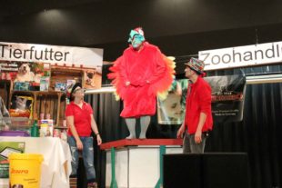 2018-1-29-OH-ko-Unterdorfer7