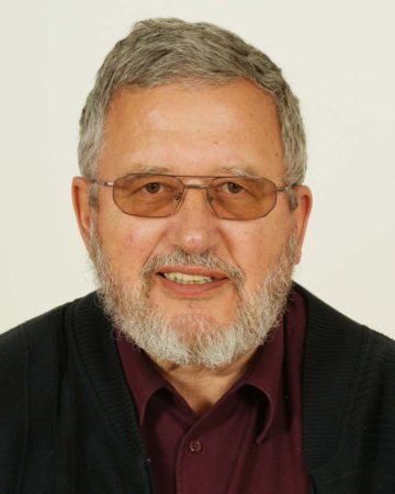 Winterhock im Rebstock