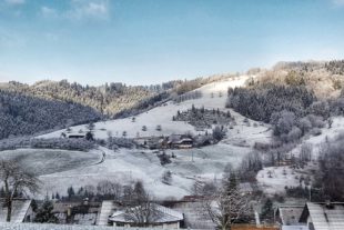 2018-2-19-OH-Sonja Wurth-20180218_090421-01