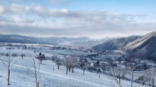 Weiße Winterlandschaft unter strahlend blauem Himmel
