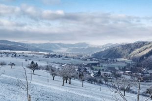 2018-2-19-OH-Sonja Wurth-Winterbilder-20180218_090930-01