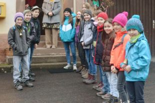 2018-2-21-ZE-OE-uts-Archiv-Foto-2017-2-24-1-Peterlestagschüler-DSC_4614