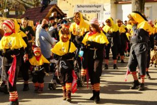 2018-2-7-BI-hk-Archiv-Foto-2017-Fasentumzug Biberach-Bild (7)