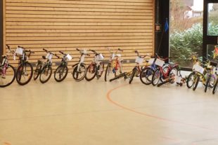 2018-2-7-ZE-UH-Tanja Ernst-Fahrzeugbörse-IMG_5470