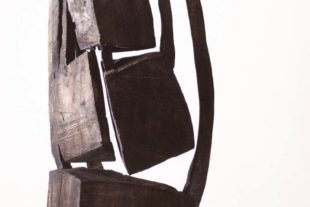 2018-2-9-ZE-Göhringer Armin-Synapsen