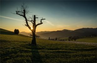 Impressionen und Gedanken zur heimischen Natur