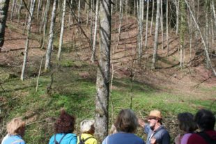 2018-3-21-OH-Tourist-Info-Bärlauch-Erlebniswanderung