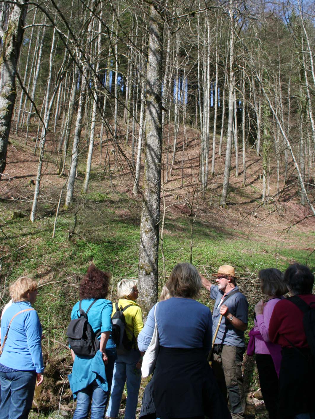 2018-3-21-OH-Tourist-Info-Bärlauch-Erlebniswanderung