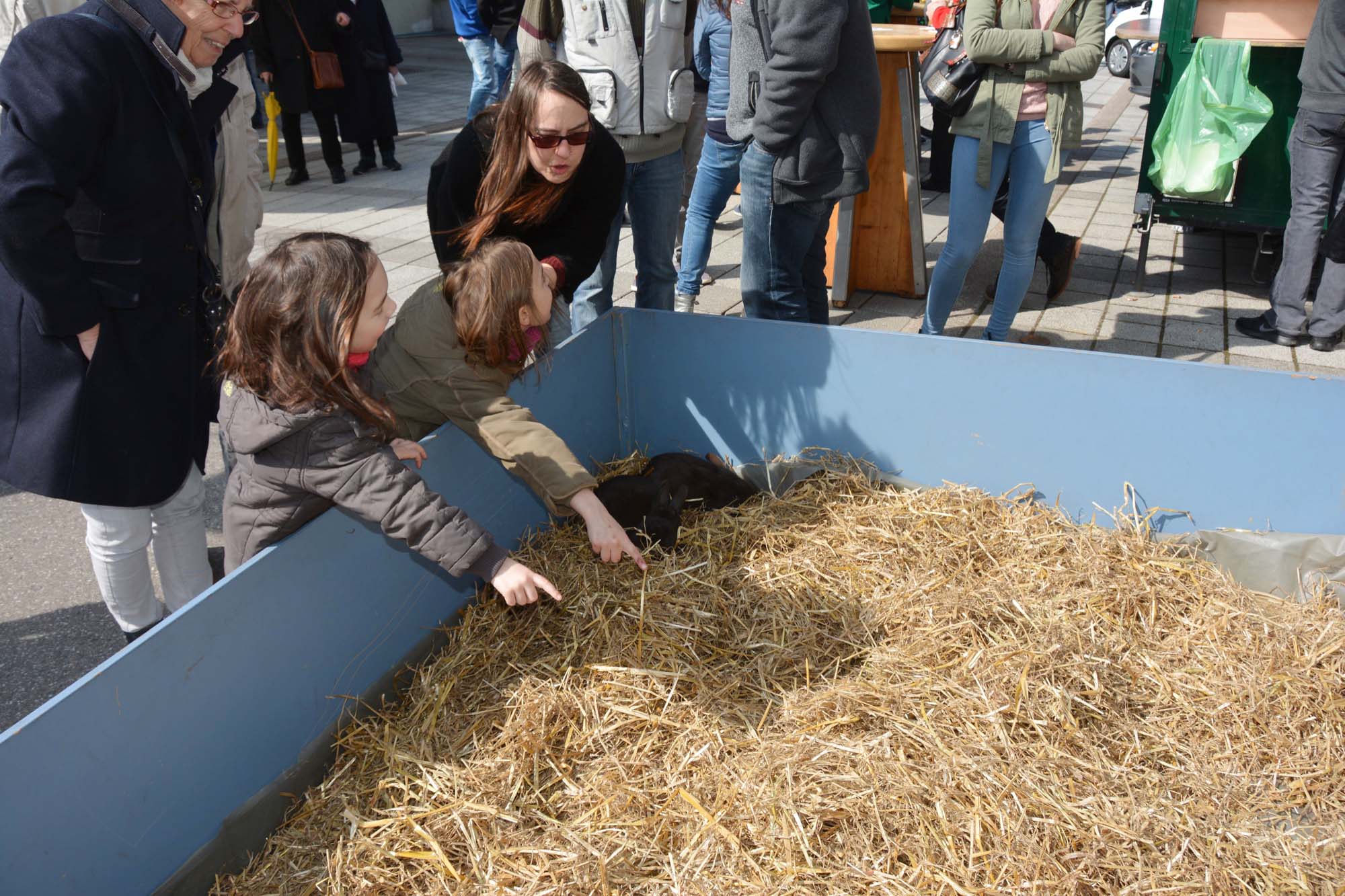 2018-3-26-BI-DS-Ostermarkt-DSC_7052