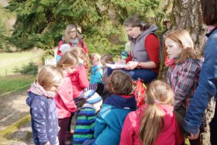 2018-3-26-Verein-SWV-Familienwanderung-P1030976