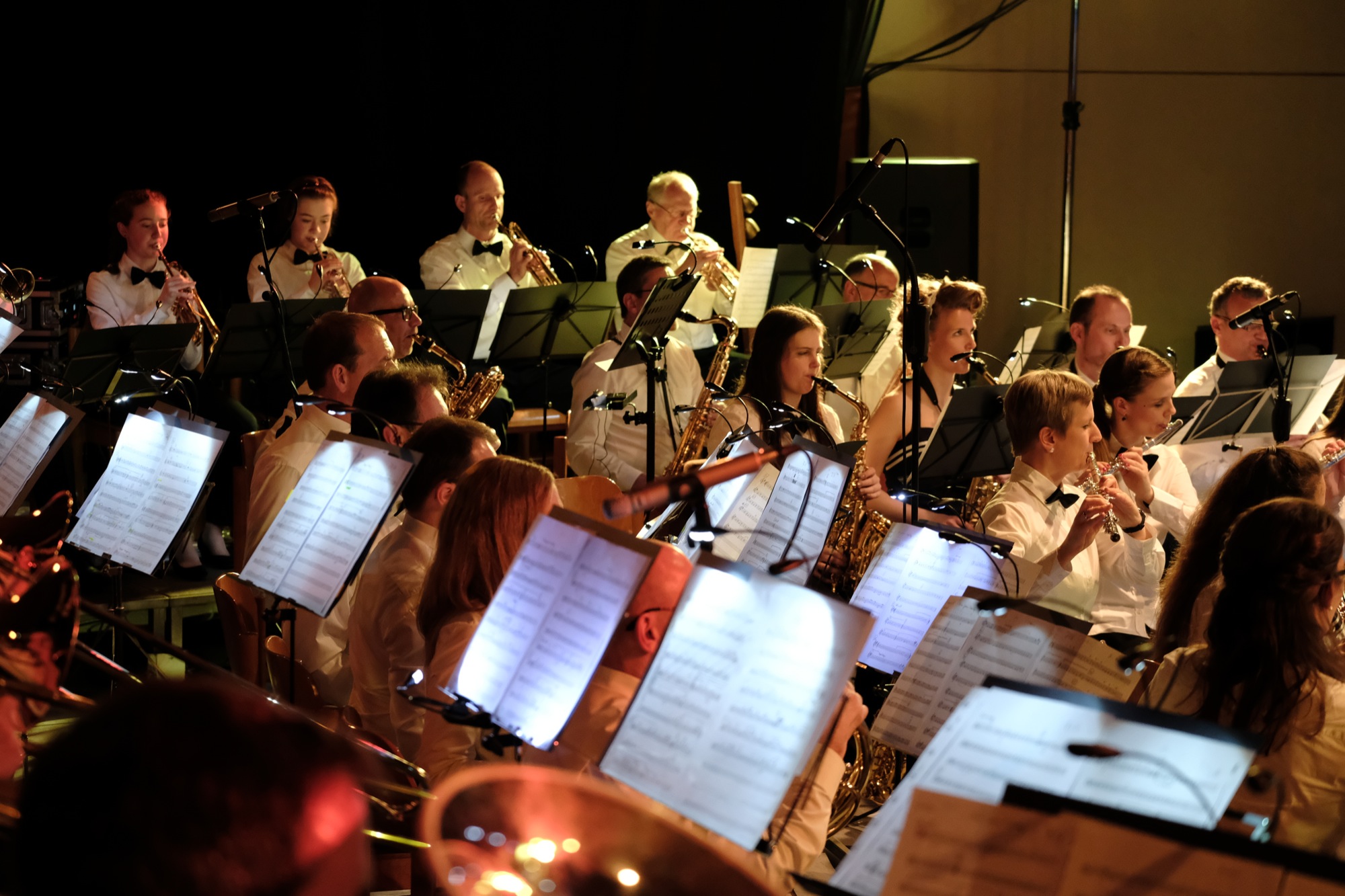 2018-3-5-BI-vo-Archiv-Foto-2017-4-1-Blasorchester Biberach-Frühjahrskonzert-SCF6215