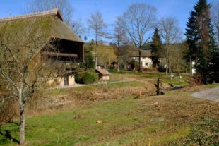 Im Kurpark rollen die Bagger an