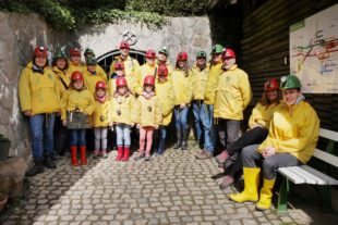 2018-4-11-BI-Schätzle-SWV-P1040163