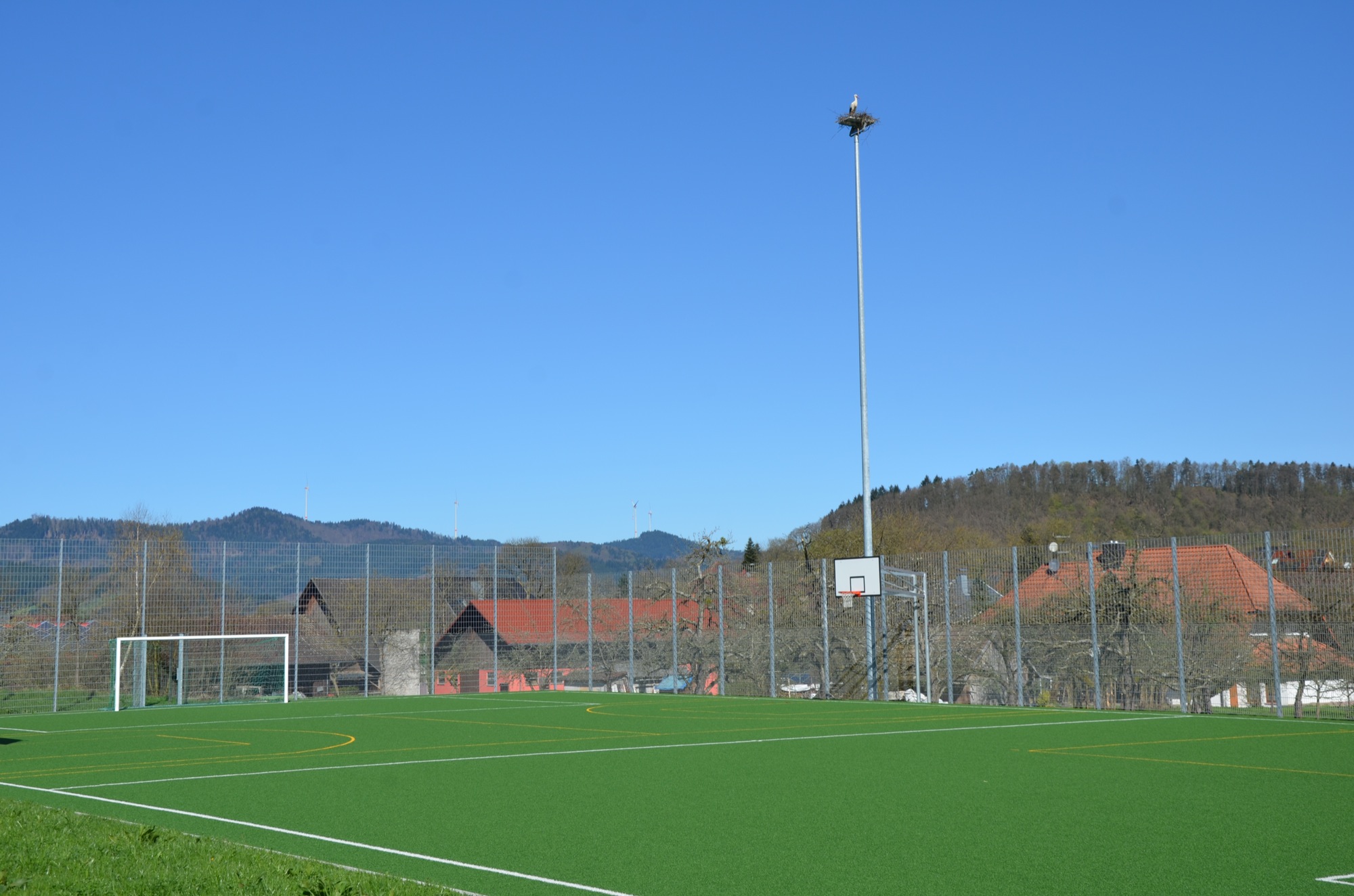 2018-4-11-ZE-UE-Störche nisten-Flutlichmasten-Riedacker-Sportplatz-UTS_3918
