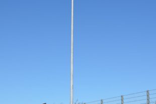 2018-4-11-Zell-Unterentersbach-Störche nisten-Flutlichmasten-Riedacker-Sportplatz-UTS_3965