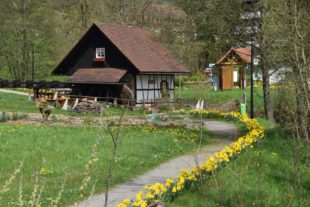 2018-4-18-NO-hv-Frühlingsboten-DSC_0728