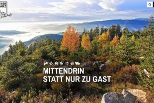 2018-4-27-GB-Gengenbach-bia-Bild_Homepage