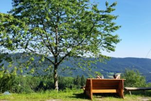 2018-4-30-BI-Ralf Schätzle-SWV-Liegebank-Maihock-Luisenhütte