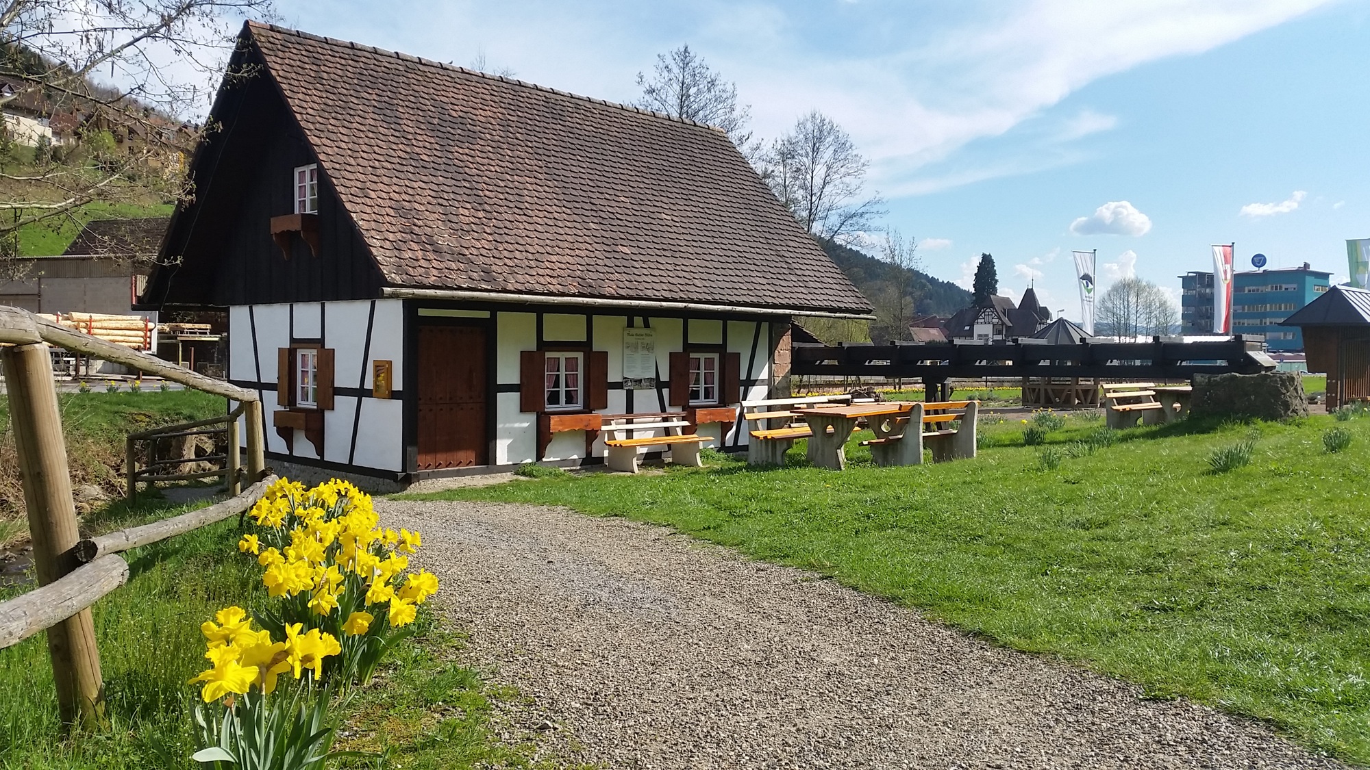 2018-4-30-NO-Maile-Gießler-Mühle-Besichtigung-Saisonstart-Mühle mit Osterglocken