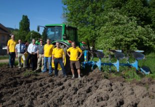 Bienenweide wird konkret