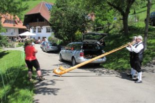 2018-5-14-NO-Tourist-info-Brennhislitag-Alphornspieler