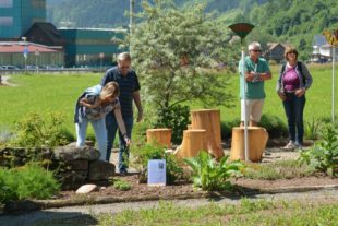 2018-5-22-NO-hps-Mühlentag-DSC_8759 2