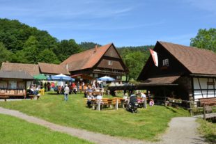 2018-5-22-NO-hps-Mühlentag-DSC_8763 2