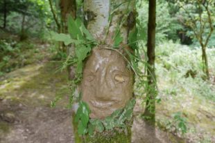 2018-5-7-BI-Schwarzwaldverein-Maihock 20018-Lusisenhütte-P1040525