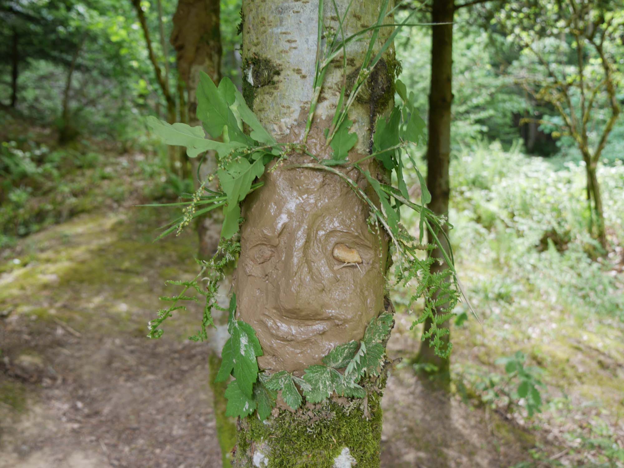 2018-5-7-BI-Schwarzwaldverein-Maihock 20018-Lusisenhütte-P1040525