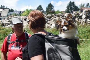 2018-6-13-NO-hv-Partnerschaftswanderung Niedernai DSC_0579