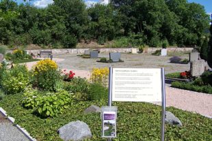 2018-6-20-BI-Friedhof-101_5112