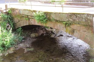 2018-6-20-OH-ga-Gemeinderatsitzung-IMG_4623