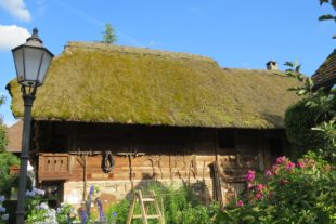 2018-6-20-OH-ga-Gemeinderatsitzung-IMG_4626