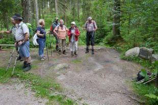 2018-6-20-UE-fhu-Wandergruppe-Elzquelle (3)