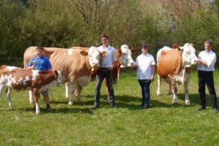 2018-6-22-OH-Franz Huber-Tierzucht aus Leidenschaft-Kühe-GERDA-Pia-Nachtigal-Paulina