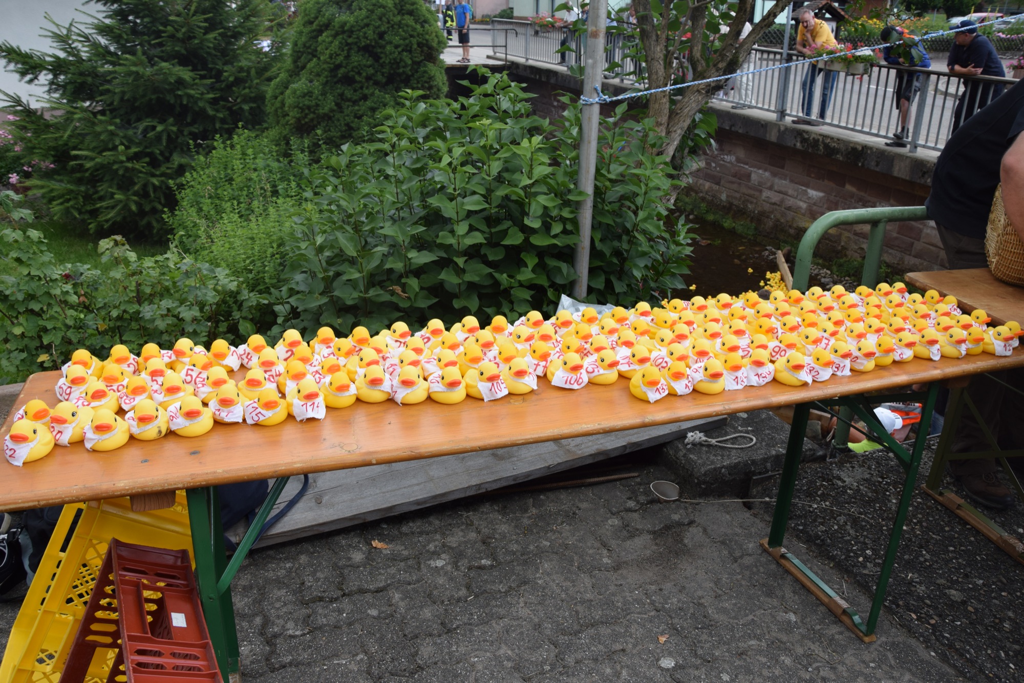 2018-6-27-OH-VdK-Entenrennen-DSC_0055