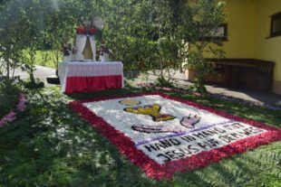 2018-6-4-NO-hv-Fronleichnam-DSC_0484